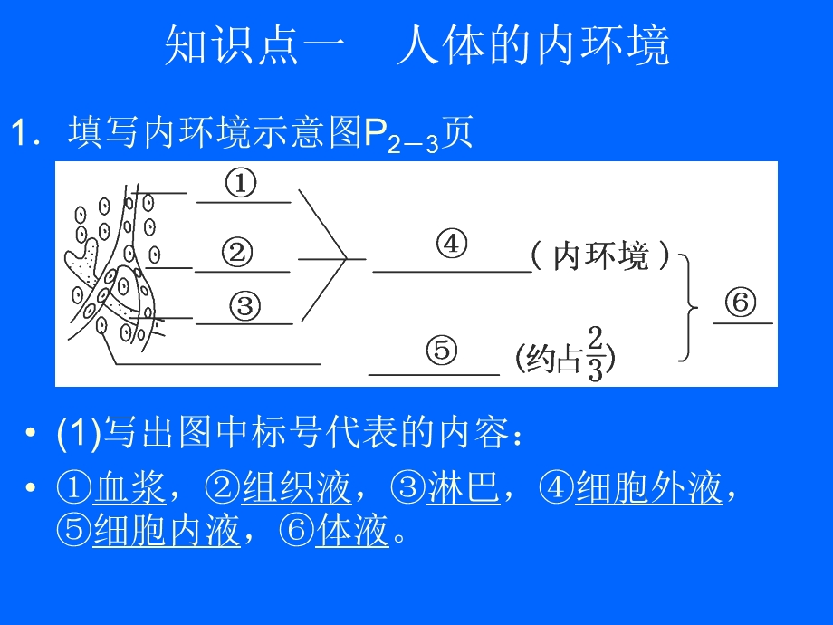 人体内环境的稳态.ppt_第3页