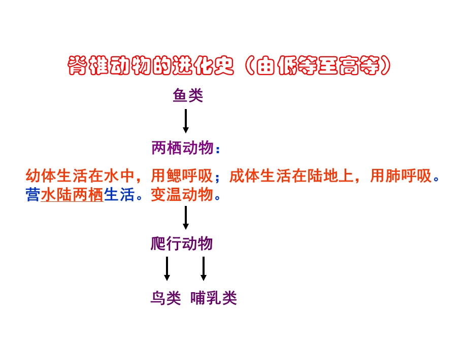 两栖动物的生殖和发育 (3).ppt_第3页