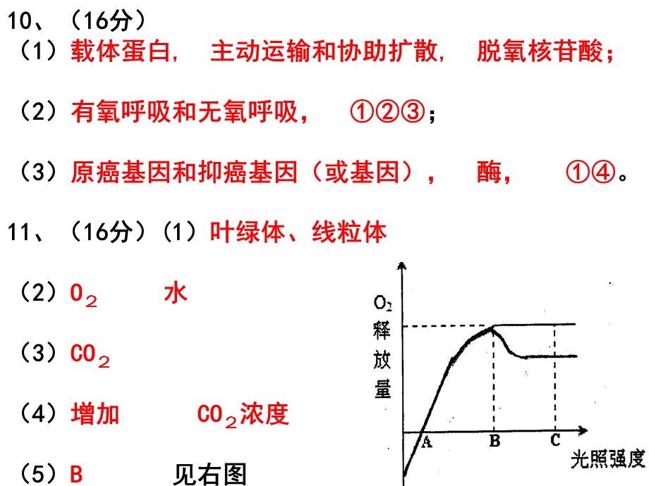 周测3答案.ppt_第2页