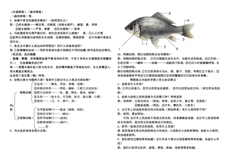 鄂教版五年级科学各单元复习资料.doc_第2页