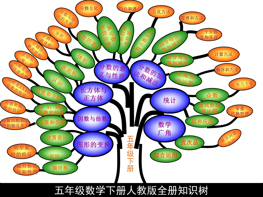 五年级下册数学全册知识树.ppt_第1页