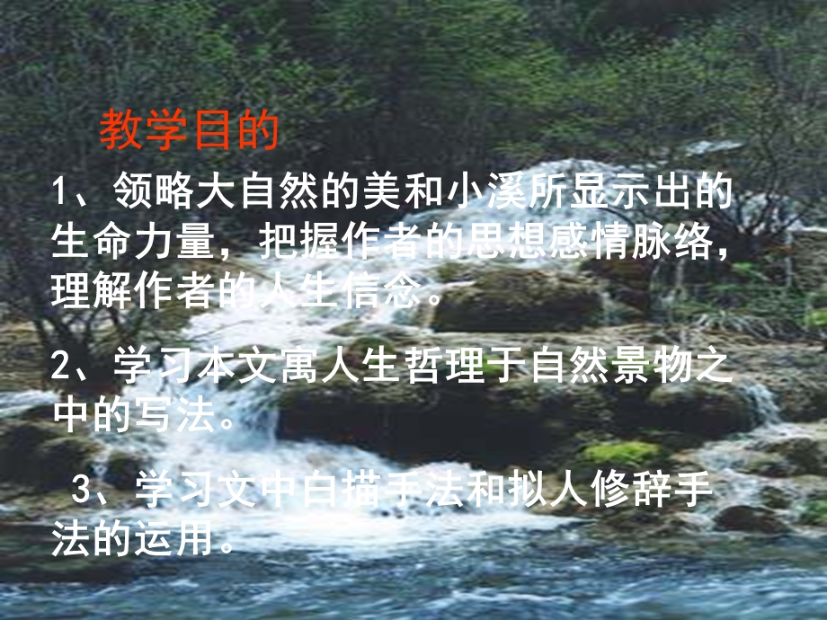 林中小溪1.ppt_第2页