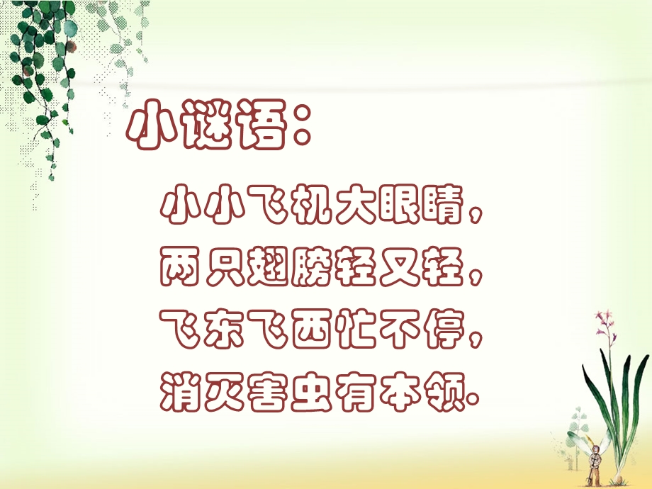 巧救小昆虫.ppt_第1页