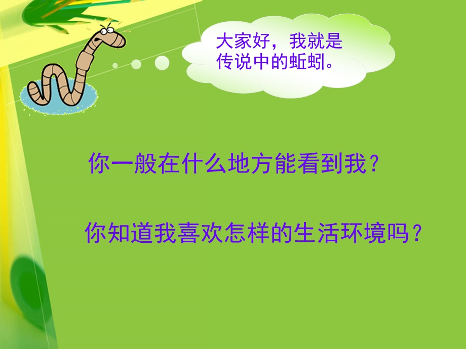 一4蚯蚓的选择陈建秋.ppt_第2页