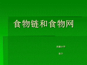 小学自然科学《食物链和食物网》PPT课件.ppt