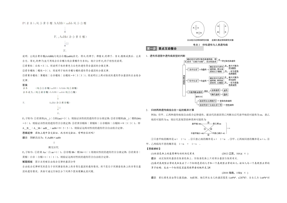 遗传的基本规律和伴性遗传.doc_第3页