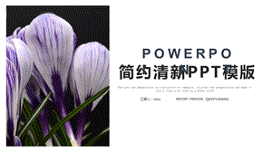 简约清新工作总结汇报PPT模板 14.pptx