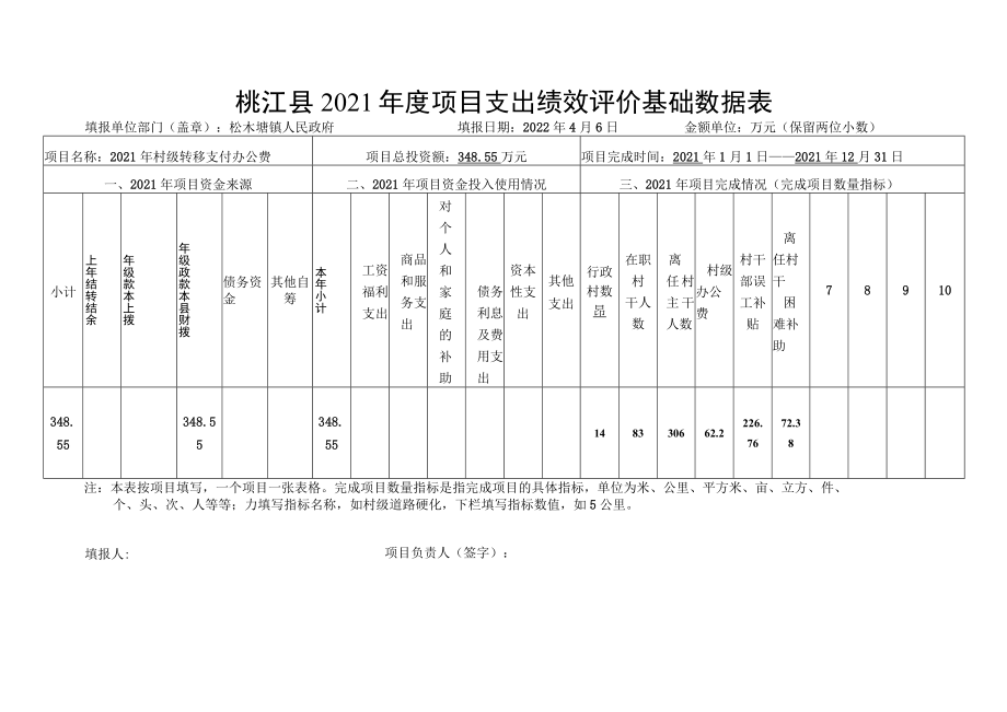 桃江县2021年度项目支出绩效评价基础数据表.docx_第1页