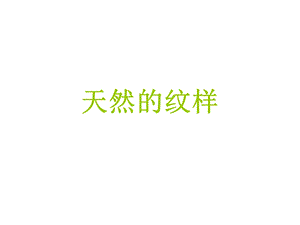 天然的斑纹.ppt