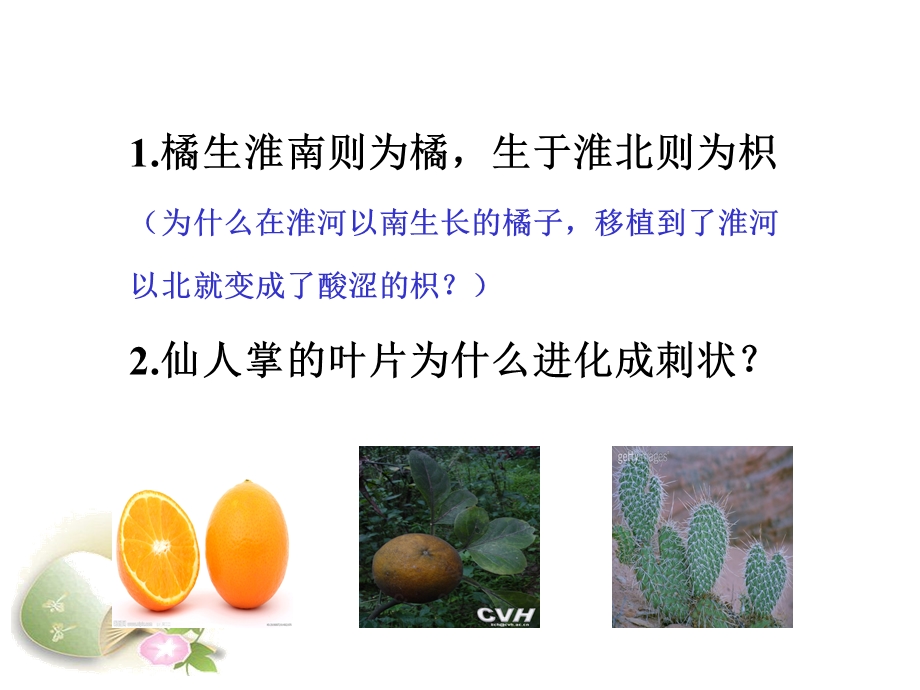 人教版七上第二章第一节生物与环境的关系（共21张PPT）.ppt_第1页