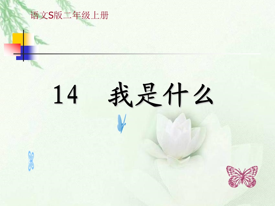 我是什么 (5).ppt_第1页