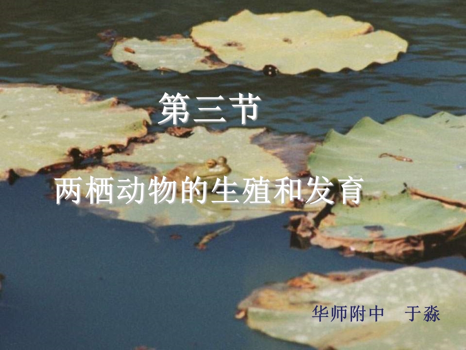 两栖动物的生殖和发育 (2).ppt_第1页