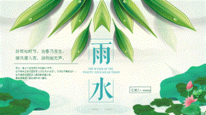 雨水二十四节气通用PPT模板.pptx