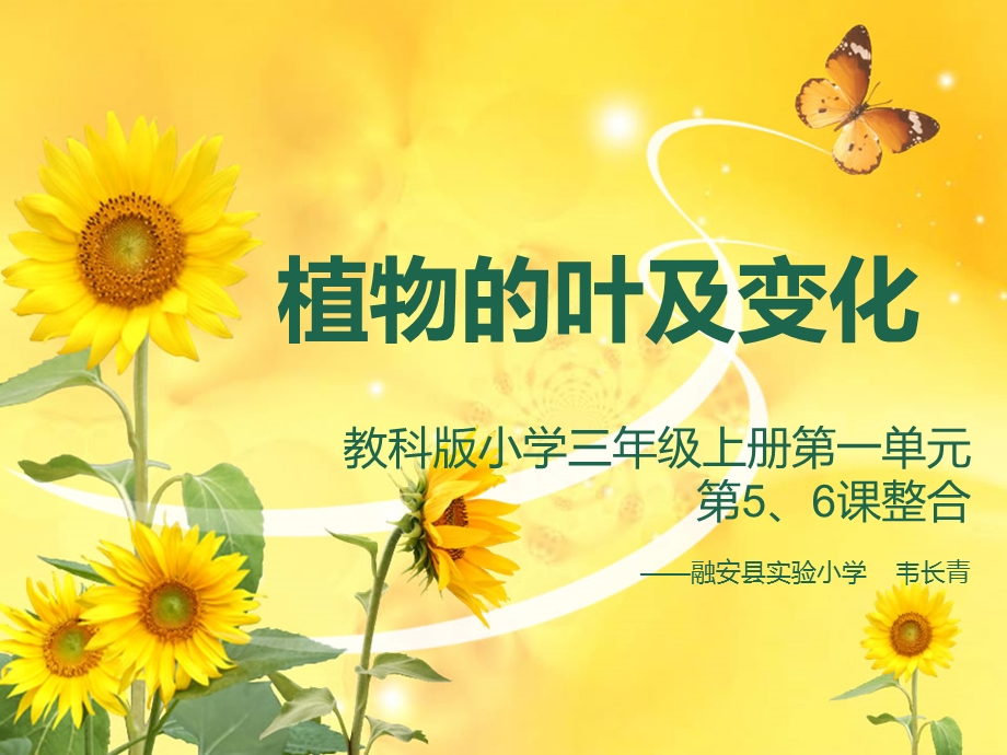 植物的叶及变化.ppt_第1页