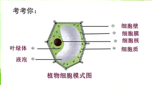 人教版七年级上生物第二单元第一章第四节细胞的生活课件.ppt