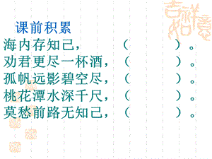 实验小学张海燕伯牙绝弦.ppt