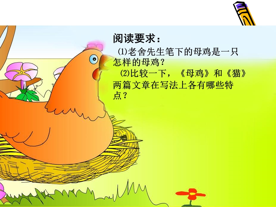 母鸡教学课件(那坡县城厢镇中心小学梁廷旺).ppt_第3页