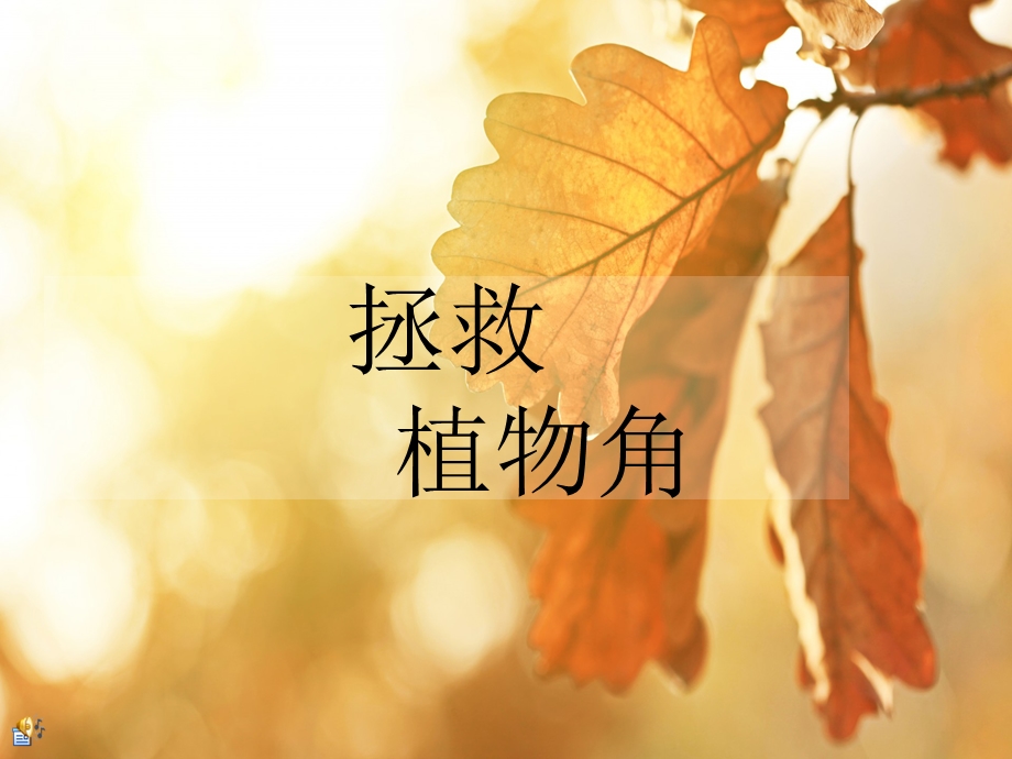 拯救我班植物.ppt_第1页