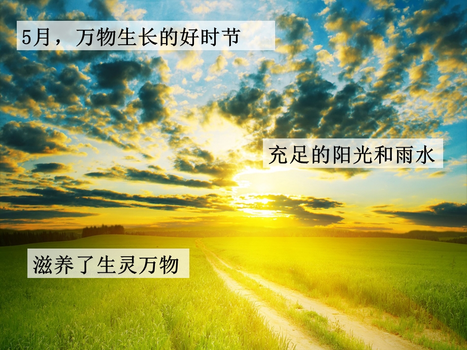 拯救我班植物.ppt_第2页