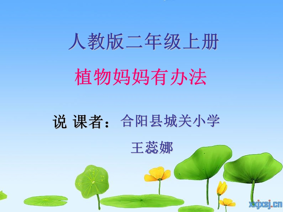 植物妈妈有办法说课稿课件.ppt_第1页