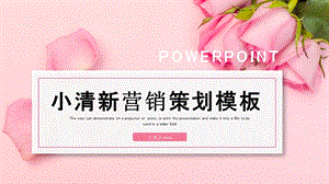 小清新营销策划PPT模板 2.pptx