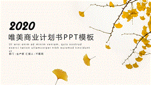 唯美商业计划书PPT模板.pptx