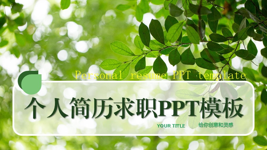 绿色小清新个人简历求职PPT模板.pptx_第1页