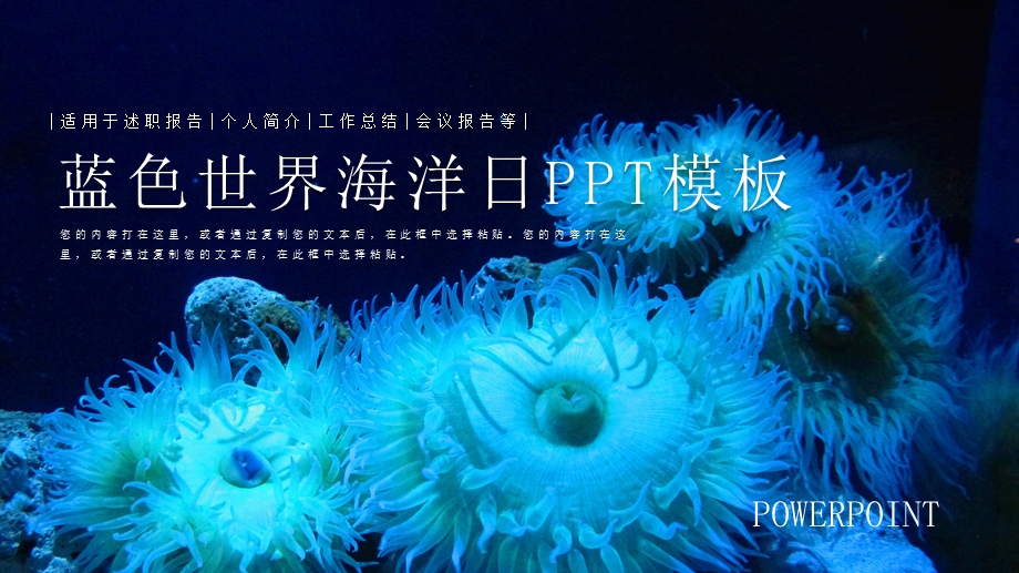 唯美蓝色世界海洋日活动策划PPT模板.pptx_第1页