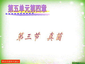 人教版八上第五单元第四章第三节真菌（共30张PPT）.ppt