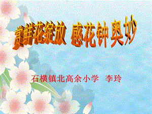 三年级13《花钟》课件.ppt