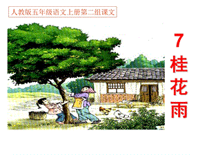 人教版五年级语文上册第二组《07桂花雨》PPT课件 (2).ppt