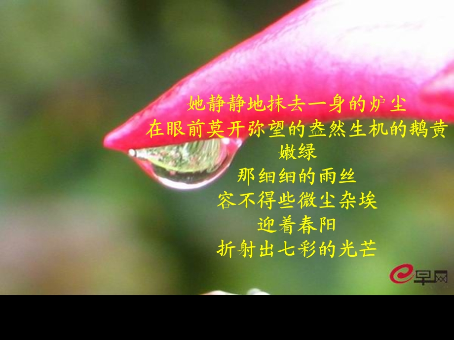 四年级诗歌.ppt_第3页