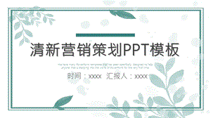 清新营销策划PPT模板 .pptx