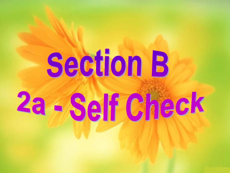 新目标Go+for+it版+九年级Unit3Couldyoupleasetellmewheretherestroomsare？SectionB2a-SelfCheck（共3.ppt_第2页