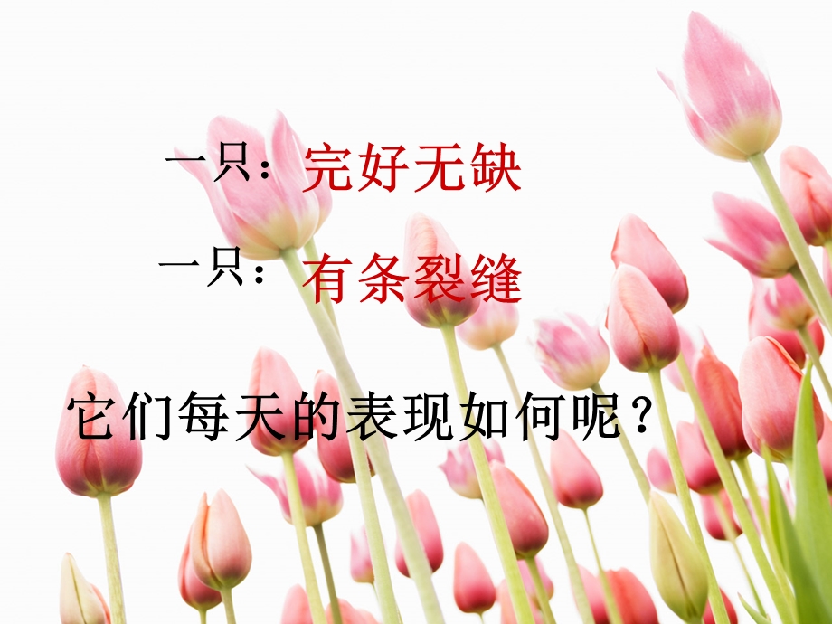 一路花香优质课件.ppt_第3页