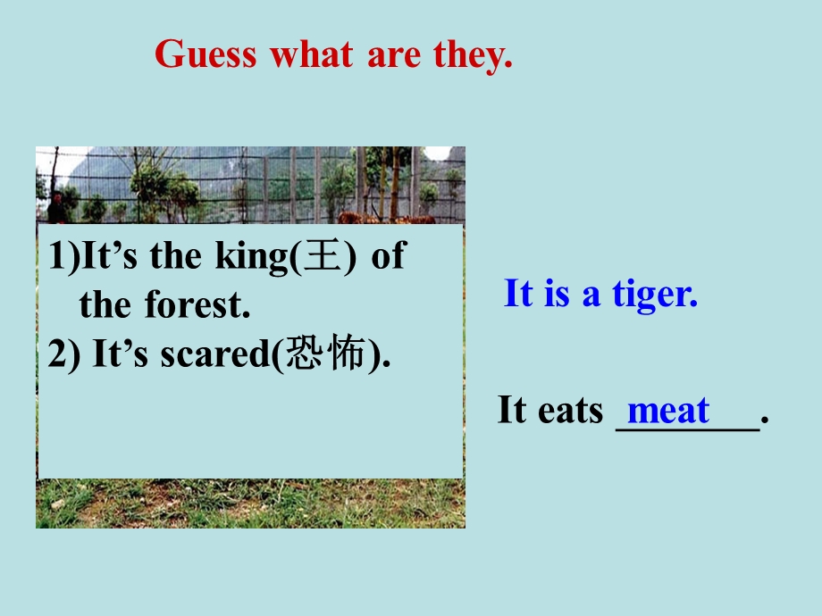 七年级Module6Unit1.ppt_第3页