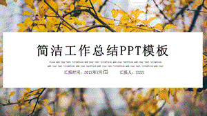 简洁工作总结PPT模板 .pptx