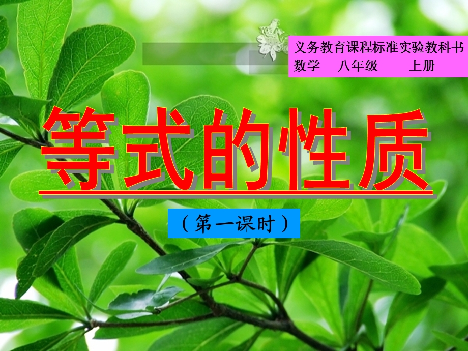 张莉莉等式的性质(第一课时).ppt_第2页