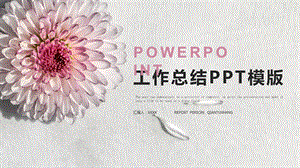 简约清新工作总结汇报PPT模板 .pptx