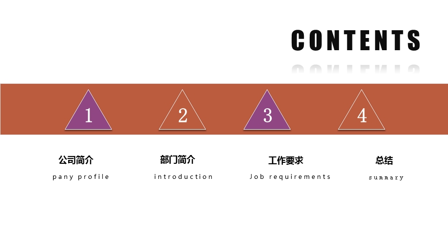 大气项目计划书PPT模板1.pptx_第2页