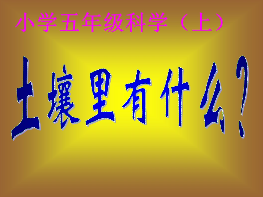 土壤中有什么.ppt_第1页