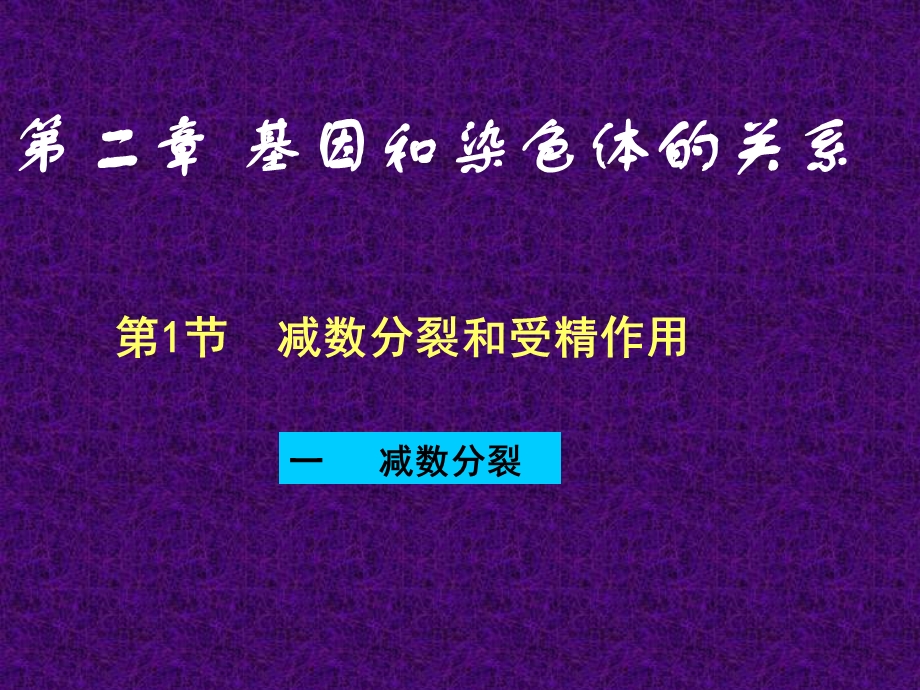 五2减数分裂和受精作用（正）.ppt_第1页