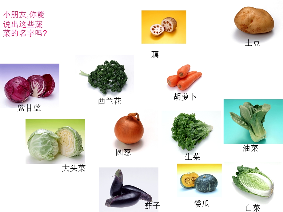 我会好好吃1.ppt_第3页