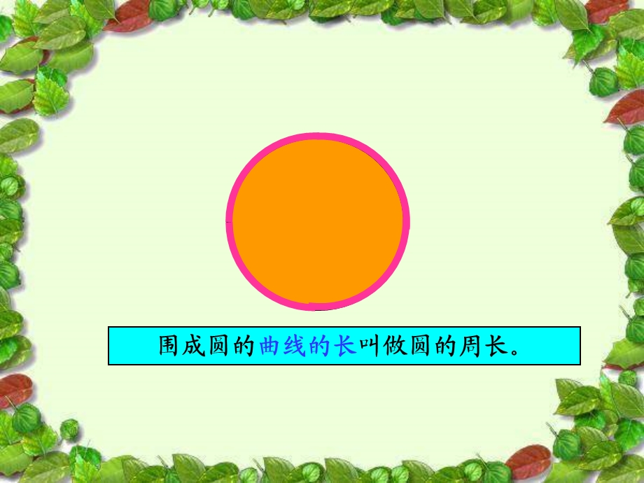 圆的周长---杨臣琳.ppt_第2页