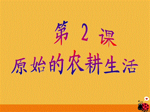 七年级历史上册第一单元第二课原始的农耕生活课件人教新课标版.ppt