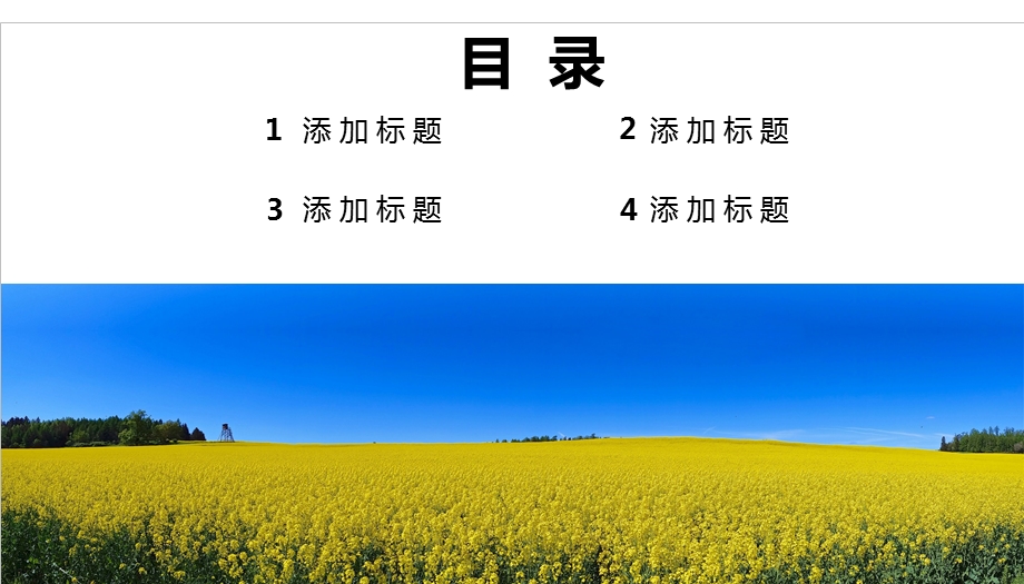 简约商业通用PPT模板.pptx_第2页