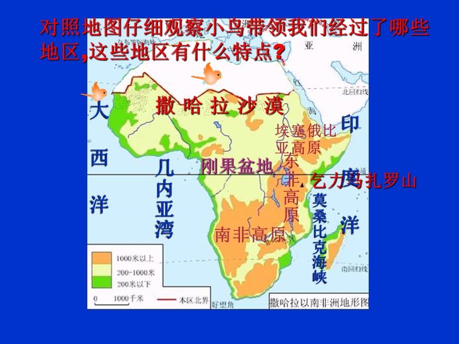 撒哈拉非洲.ppt_第3页