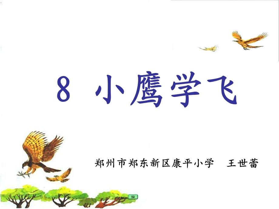 小鹰学飞____课件.ppt_第2页