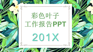 清新彩色叶子工作报告PPT模板.pptx