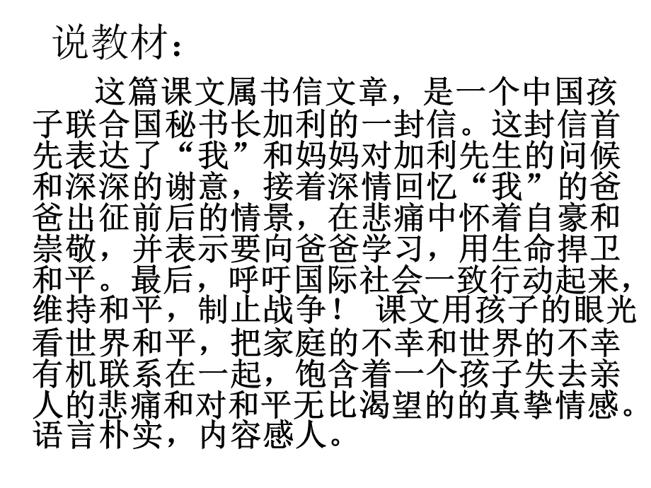 一个中国孩子的呼声 (3).ppt_第2页
